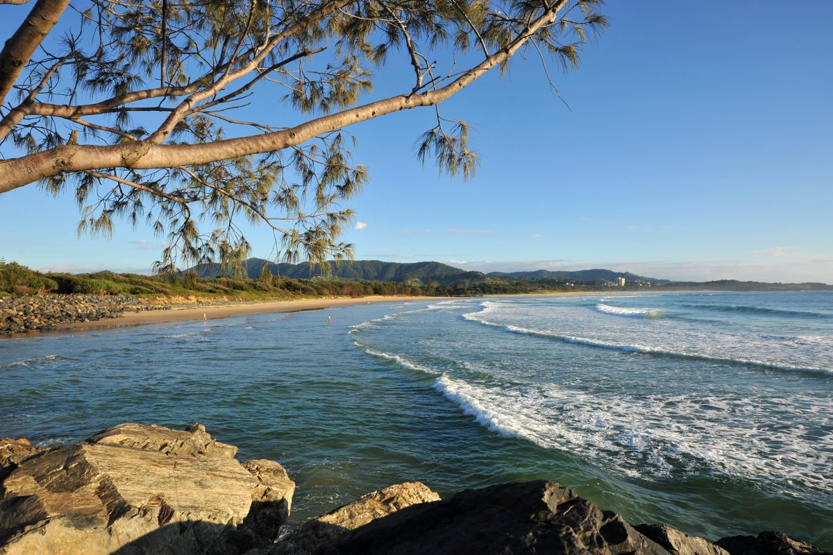 Great White Solar Installation Coffs Harbour