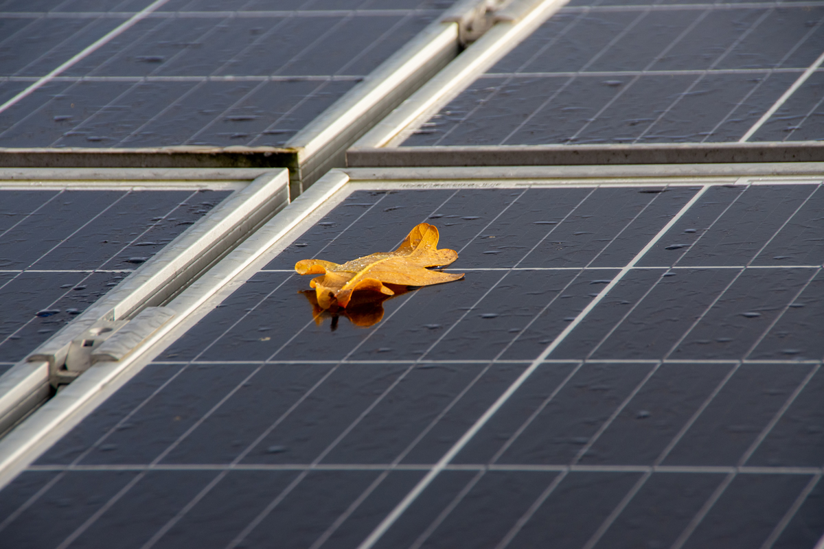 Autumn’s Here - Is Your Solar System Ready for Shorter Days